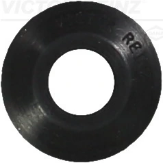 Seal Ring, valve stem